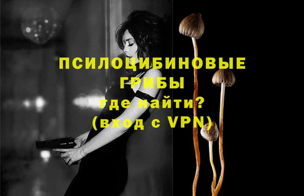 сатива Аркадак