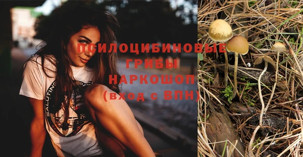 винт Алзамай