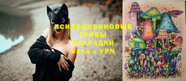 мет Алексин