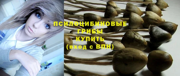 винт Алзамай