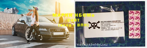 винт Алзамай